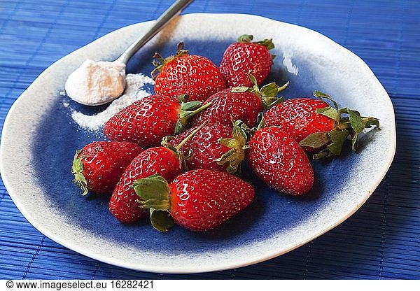 Nahaufnahme von Erdbeeren auf einem Teller mit Puderzucker in einer Konditorei in der Stadt Sigacik  Seferihisar  Provinz Izmir  Ägäische Küste  Türkei  Europa.