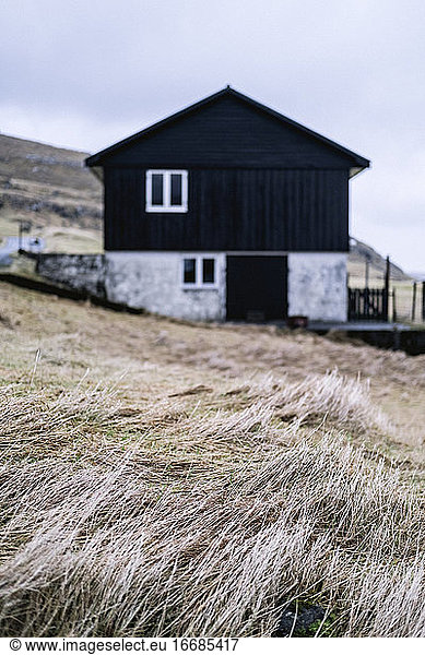 Nahaufnahme von trockenem Gras mit unscharfem Haus im Hintergrund  Färöer Inseln