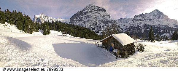 nahe Europa Winter unterhalb Berg Chalet Westalpen Grindelwald Schnee schweizerisch Schweiz Schweizer Alpen