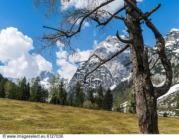 nahe  Landschaftlich schön  landschaftlich reizvoll  Berg  bedecken  Schutz  Tal  Tourist  See  Hintergrund  Dorf  Alpen  Mittelpunkt  groß  großes  großer  große  großen  Gebirgszug  Karwendelgebirge  Bayern  Mitteleuropa  Mai  Pertisau  rechts  Schnee