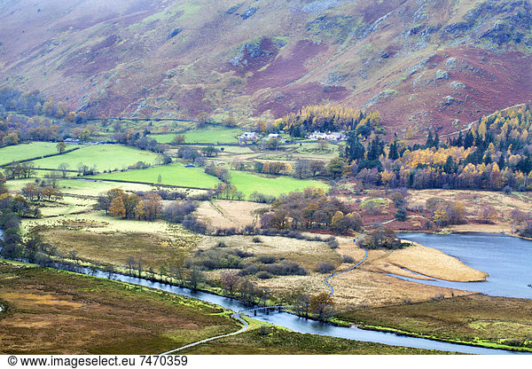 nahe Laubwald Europa Großbritannien Überraschung Herbst Ansicht Borrowdale Cumbria England