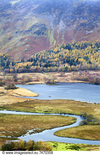 nahe Laubwald Europa Großbritannien Überraschung Herbst Ansicht Derwent Water Cumbria England