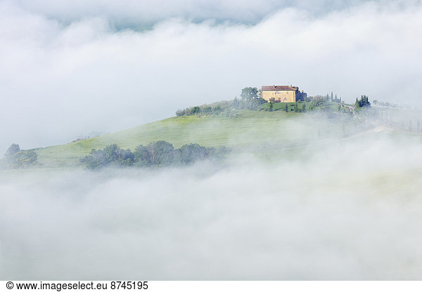 nahe  Morgen  Landschaft  Bauernhof  Hof  Höfe  Nebel  Toskana  typisch  Italien  Pienza