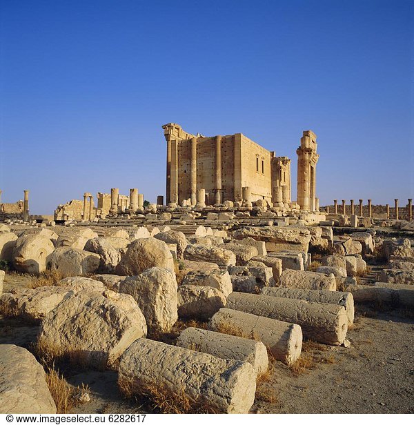 Naher Osten  Palmyra  Syrien