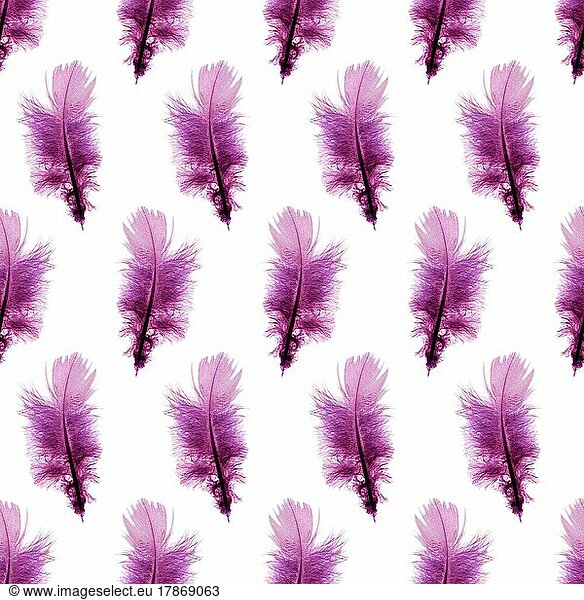 Nahtlose Muster Hintergrund mit lila Federn über weißem Hintergrund