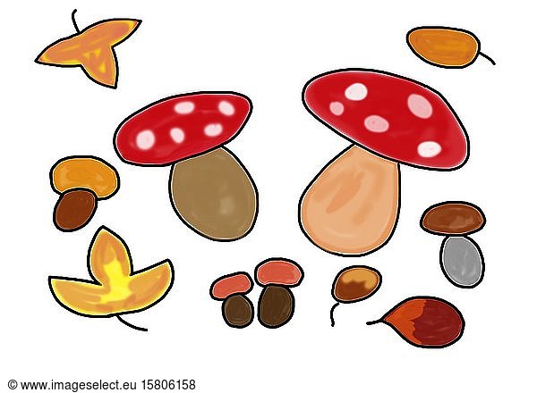 Naive illustration  children's drawing  various mushrooms  Germany  Europe