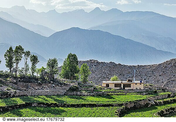 Nako village in Himalayas  Himachal Pradesh  India  Asia
