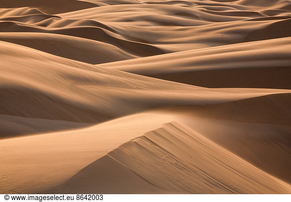 Namib-Wüste  Namibia