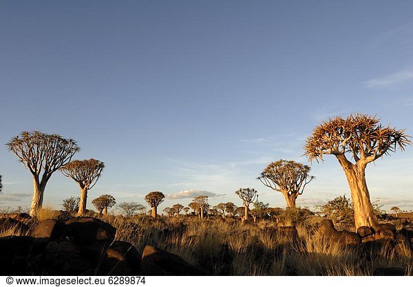 Namibia , Afrika , Keetmanshoop