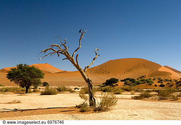 Namibia