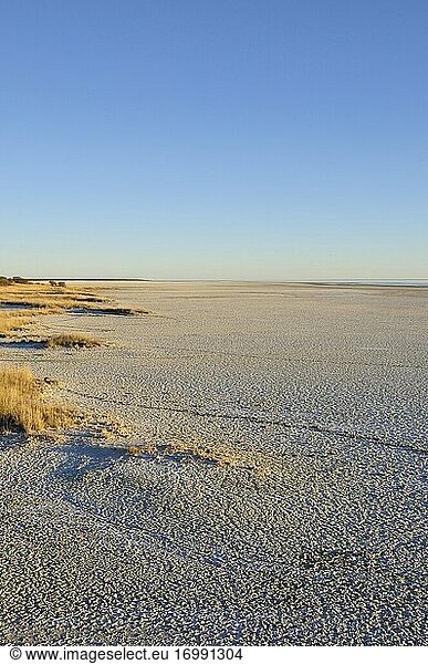 Namibia: An der Grenze zu den Etosha-Salzpfannen.