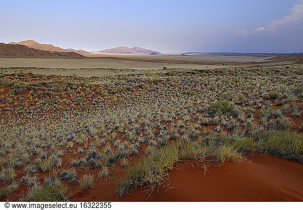 Namibia  Namib Desert  landscape at NamibRand Nature Reserve