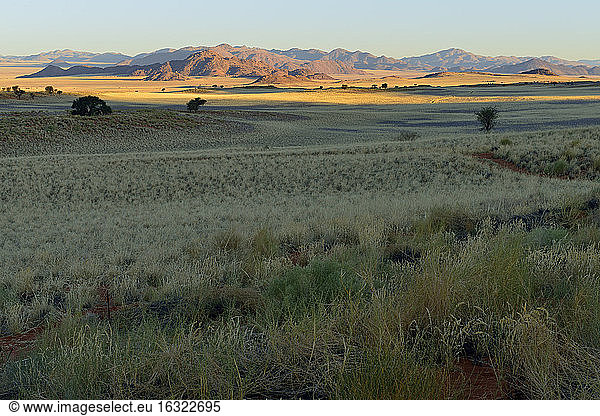 Namibia  Namib Desert  landscape at NamibRand Nature Reserve
