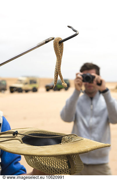 Namibia  Namib desert  Swakopmund  tourist taking pictures of a Sidewinder Snake in a desert expedition