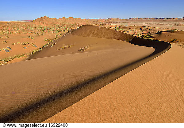 Namibia  Namib Naukluft National Park  Sanddünen der Namib Wüste entlang des Kuiseb Flusses