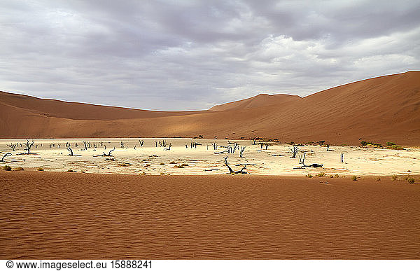 Namibia  Sossusvlei-Pfanne umgeben von Wüstendünen