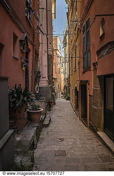 Narrow alley in Vernazza  Liguria  Italy