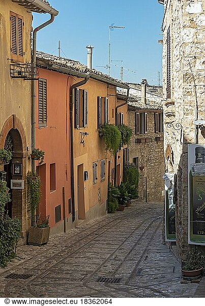 Narrow cobblestone street  Spello  Umbria  Italy  Europe