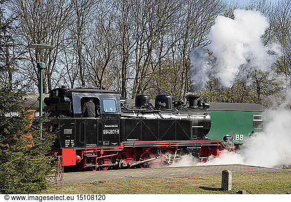 Narrow Gauge Railway  'Rasender Roland'  Putbus  Ruegen  Germany