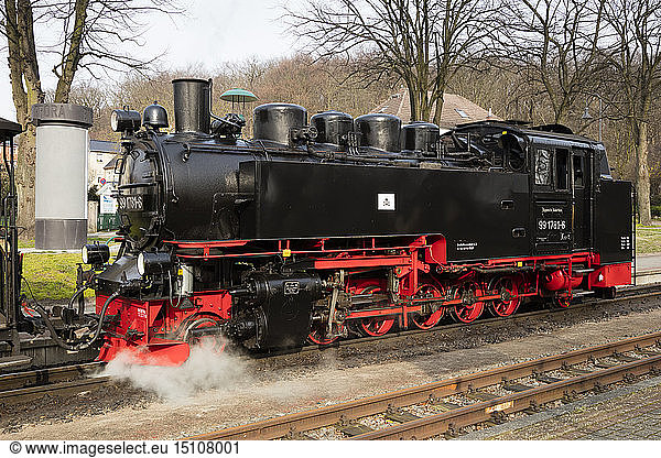 Narrow Gauge Railway  'Rasender Roland'  Sellin  Ruegen  Germany