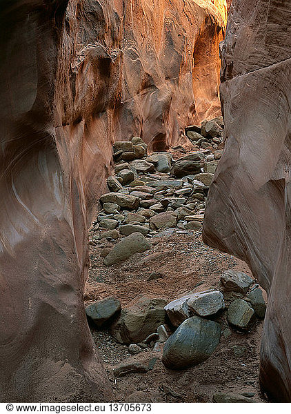 Narrows in a dry fork of Coyote Gulch in Grand Staircase/Escalante National Monument  Utah.
