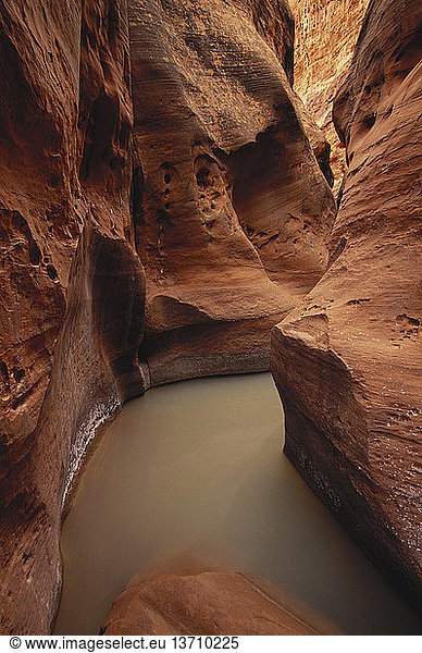 Narrows in Choprock Canyon  Glen Canyon National Recreation Area  Utah.