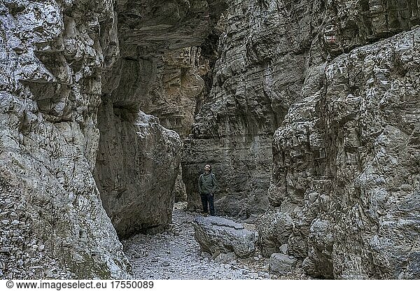 Narrows  Rocks  Imbros Gorge  Crete  Greece  Europe