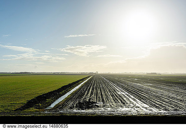 Nasse Felder in den verlassenen Poldern im Norden der Niederlande