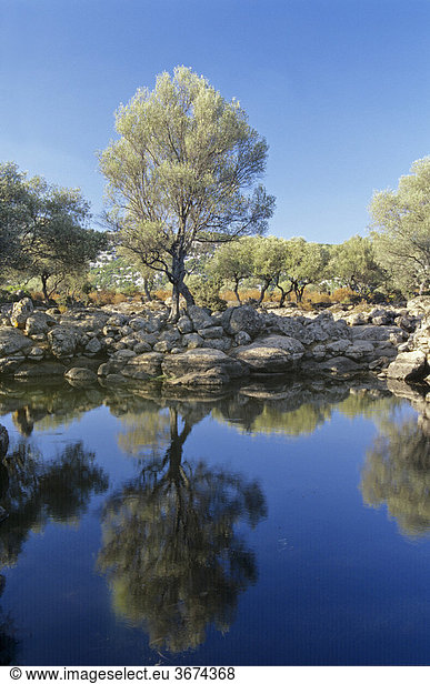 Natürliches Wasserbecken genannt As Piscinas auf der Hochebene Golgo Sardinien Italien