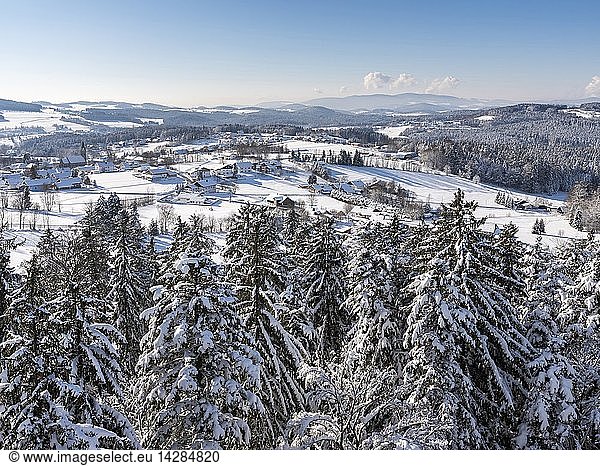 National Park Bavarian Forest (Bayerischer Wald) in the deep of winter. View of village Neuschoenau. Europe  Germany  Bavaria  January