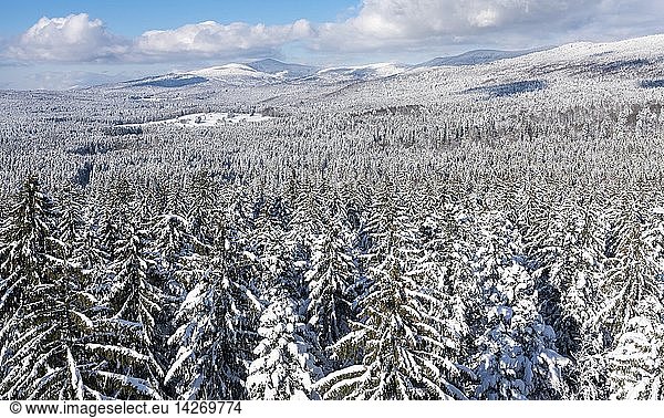 National Park Bavarian Forest (Bayerischer Wald) in the deep of winter. View towards mount Lusen  mount Rachel and mount Falkenstein. Europe  Germany  Bavaria  January