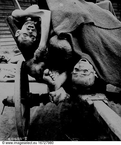 National Socialism / Concentration camps Gusen concentration camp near Linz
(Austria) after libereation. Bodies on a cart awaiting burial. Photo  12 May 1945.