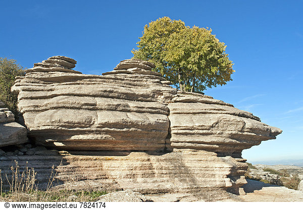 Nationalpark , Felsbrocken , Landschaftlich schön, landschaftlich reizvoll , Europa , Berg , Baum , Steilküste , Pflanze , Andalusien , Spanien , Tourismus