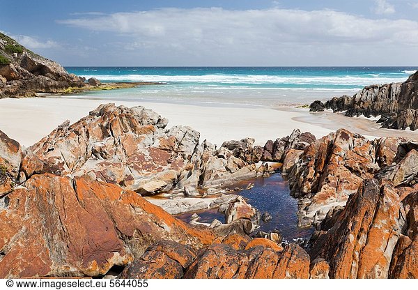 Nationalpark  Felsen  Wahrzeichen  Fluss  Insel  3  Australien  Känguru  South Australia  Wildtier