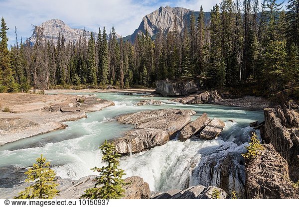 Nationalpark Landschaft treten Brücke Fluss Yoho Nationalpark British Columbia Kanada