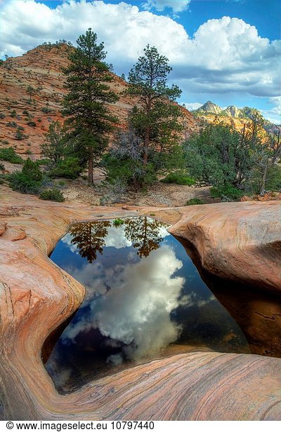 Nationalpark Stilleben still stills Stillleben Wasser folgen Landschaft Spiegelung Größe Utah