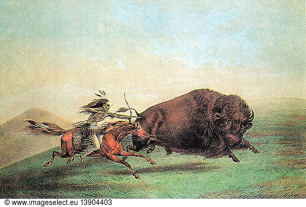 Native American Indian Buffalo Hunting