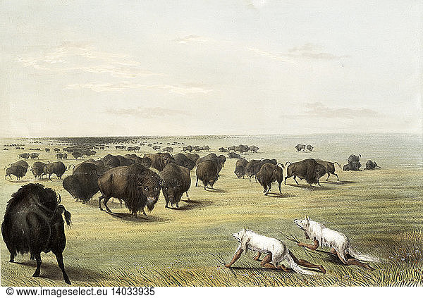 Native Americans Camouflaged for Buffalo Hunt