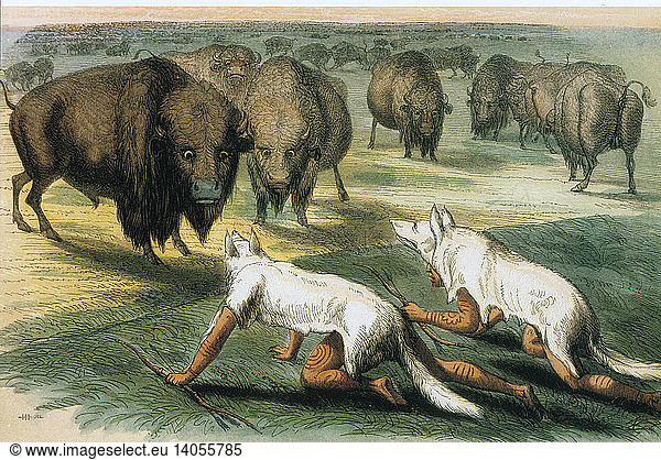 Native Americans Camouflaged for Buffalo Hunt
