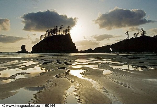 Natural Arch und offshore-Stack. Küste in der Nähe von La Push. Olympic-Nationalpark. Washington. USA.