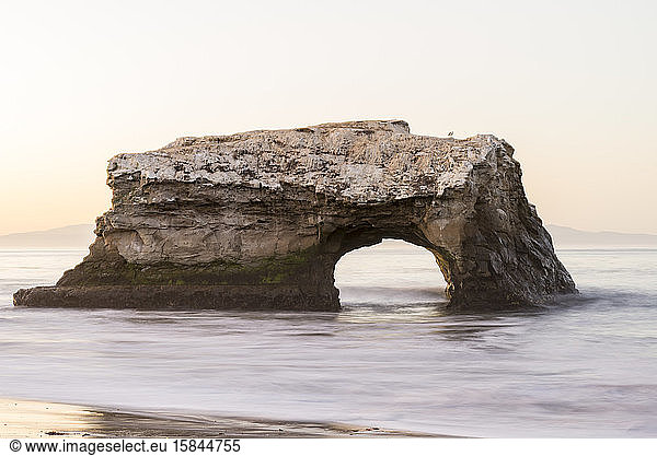 Natural Bridges State Beach. Santa Cruz  California  USA.