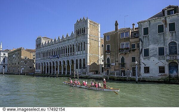 Natural History Museum and rowing boat with woman of the Bucintoro Rowing Society 1882  Venice  Province of Venice  Italy  Europe