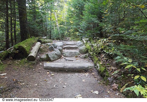Natural looking stone steps along Zealand Trail in Bethlehem  New Hampshire USA during the autumn months.