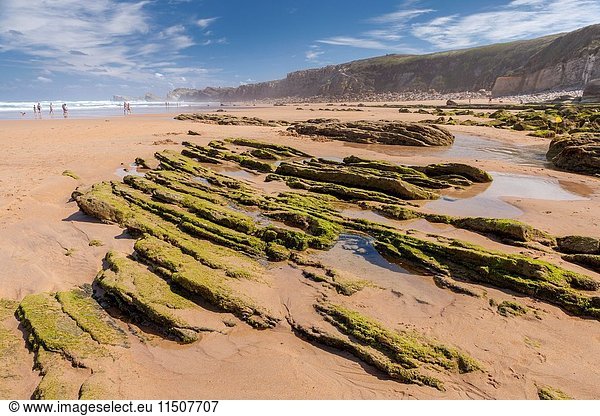 Natural Park of the Dunes of Liencres  Liencres  Cantabria  Spain.