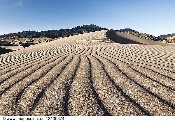 Natural pattern on sand dunes