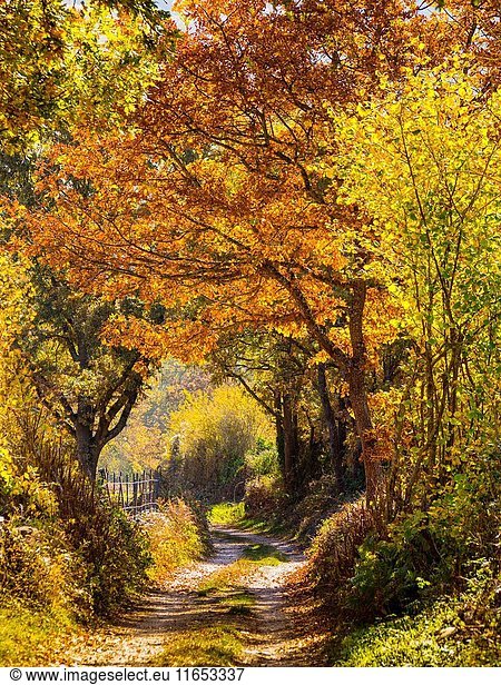 Nature landscape  autumn colors. Las Merindades County Burgos  Castile and Leon  Spain  Europe.