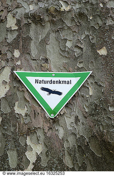 Nature protection sign at old plane tree