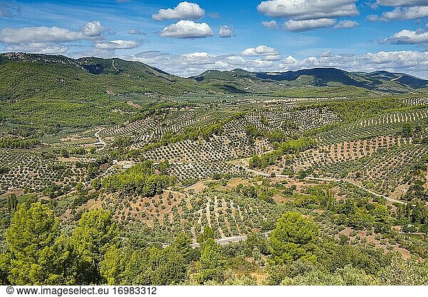 Naturlandschaft in der Sierra de Cazorla  Naturpark Segura und Las Villas  Provinz Jaen  Andalusien  Südspanien Europa.