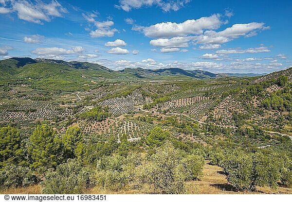 Naturlandschaft in der Sierra de Cazorla  Naturpark Segura und Las Villas  Provinz Jaen  Andalusien  Südspanien Europa.