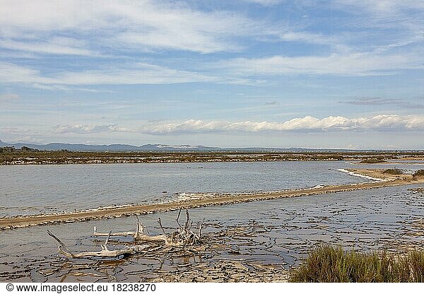 Naturpark Salobrar de Campos  bei Sant Jordi  Feuchtgebiet  Naturpark  Mallorca  Balearen  Spanien  Europa